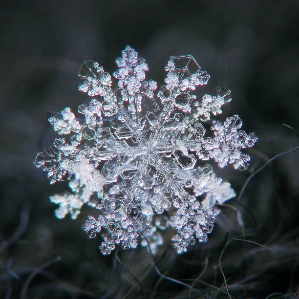Snowflake on dark background stock photo