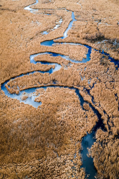 istock Flying above blue river and brown swamps in spring 1305851551