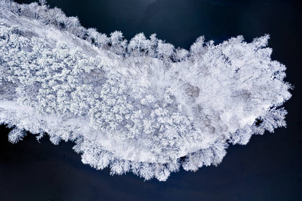 istock Snowy forest on small peninsula on river. Aerial view, Poland 1305852245