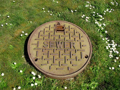 Closed sewer well on green grass lawn an flowering white daisies.