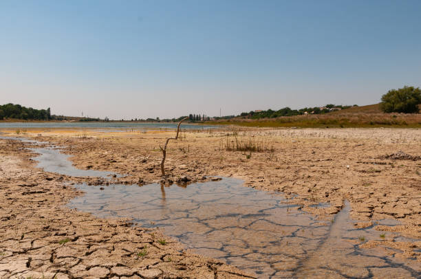 가뭄으로 인해 호수 침대 건조 - drought landscape global warming environment 뉴스 사진 이미지