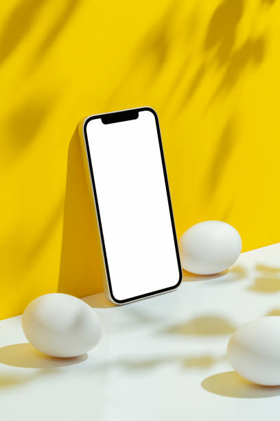 istock Eggs and phone mockup, template on yellow and white background 1305855665