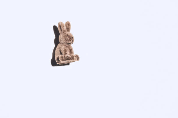 istock Easter bunny in front of white wall 1305857794