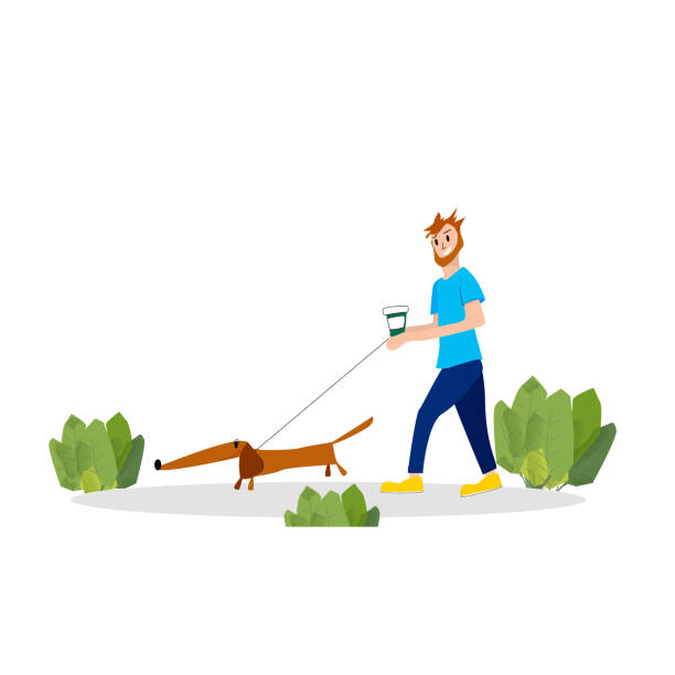 Happy Man walking a dog in park and drink coffee Happy Man walking a dog in park and drink coffee. Isolated flat vector illustraition on white background. Happy pets owners. cartoon basset hound walking stock illustrations