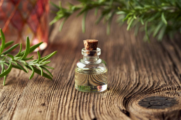 istock Essential oil bottle with fresh rosemary plant 1305859351