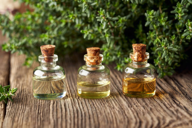 istock Three bottles of essential oil with fresh thyme 1305859367
