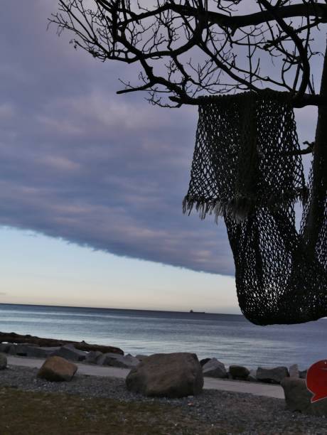 Back of Fisherman carrying a cooler container, going to the beach fishing. Copy space