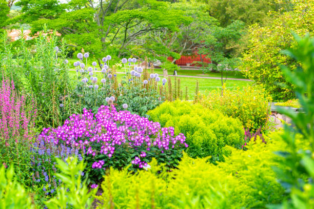 istock Ornamental Botanical garden 1305859401