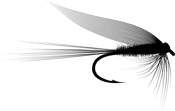 ilustrações de stock, clip art, desenhos animados e ícones de dry fly - pescaria com iscas artificiais