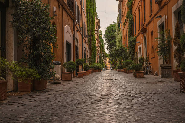 Rome, via Margutta, closed shops, climbing plants, pots with ornamental plants, old city