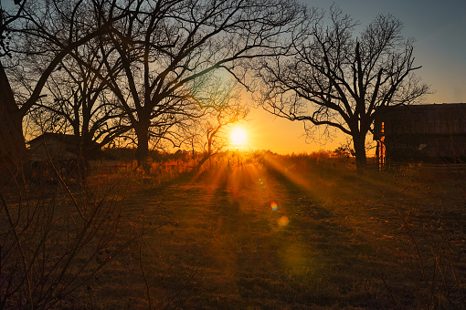 A rustic horizon sunset on a farm in North Carolina with dramatic sun glare.