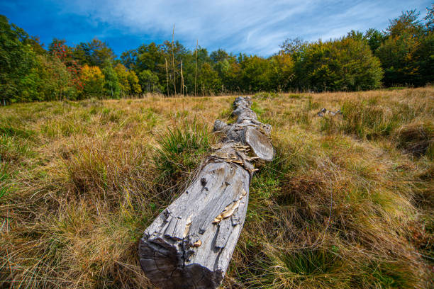 Old Mountain or Stara Planina  , Serbia