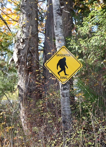 A warning with a sasquatch road sign