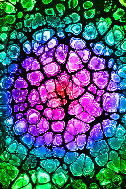istock Acrylic Colorful Round Cells 1305870758
