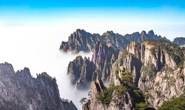 View of the clouds and the pine tree at the mountain peaks of Huangshan National park, China. View of the clouds and the pine tree at the mountain peaks of Huangshan National park, China. Landscape of Mount Huangshan of the winter season. UNESCO World Heritage Site, Anhui China. huangshan mountains stock pictures, royalty-free photos & images
