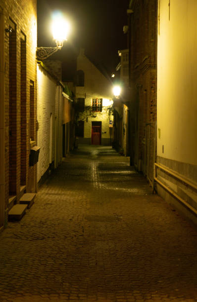istock Mysterious Red door in alley at night 1305873887