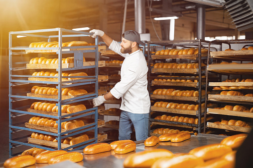 A baker carries a rack of bread at the bakery. Industrial bread production