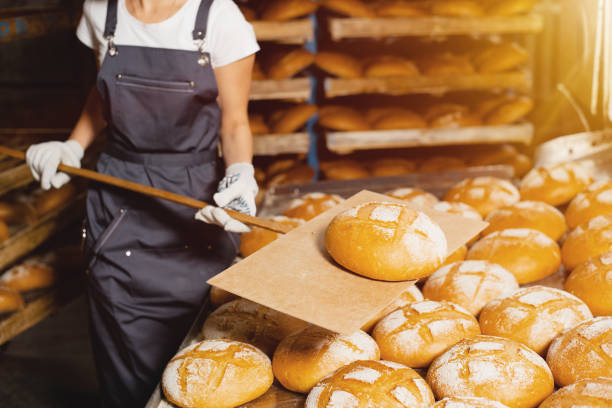 istock Baker holds fresh bread on a wooden shovel in a bakery closeup. 1305875506