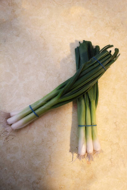 A fresh organic bunch of scallion (green onion) resting on a counter. Ready to be served raw or cooked into a tasty vegan salad, healthy asian stir fry or other nourishing culinary experience.