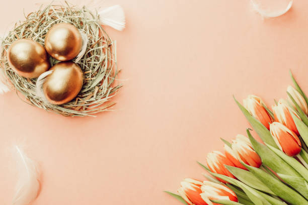 istock Easter Golden colour eggs in basket with spring tulips, white feathers on pastel pink background in Happy Easter decoration. Festive decoration in flat lay. 1305878149