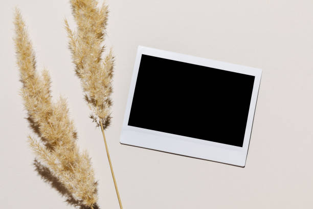 Mockup with blank photo frame and dried pampas grass over beige pastel background with trendy shadow and sunlight. Photo card with space for your logo or text. Flat lay, top view. stock photo