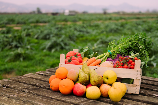 box with vegetables and fruits in a crop field, healthy eating and organic agriculture concept, copy space for text