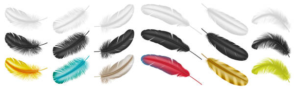 istock Realistic feathers set. Detailed bird plume colorful isolated on white background. 3d style 1305884462