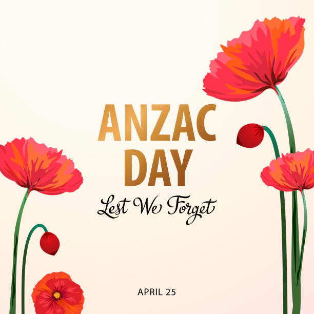 Anzac Day Poppies Anzac Day is a national day to commemorates Australian and New Zealander who served and died in war, the red poppy is a symbol of remembrance and hope for peaceful world. red poppy stock illustrations