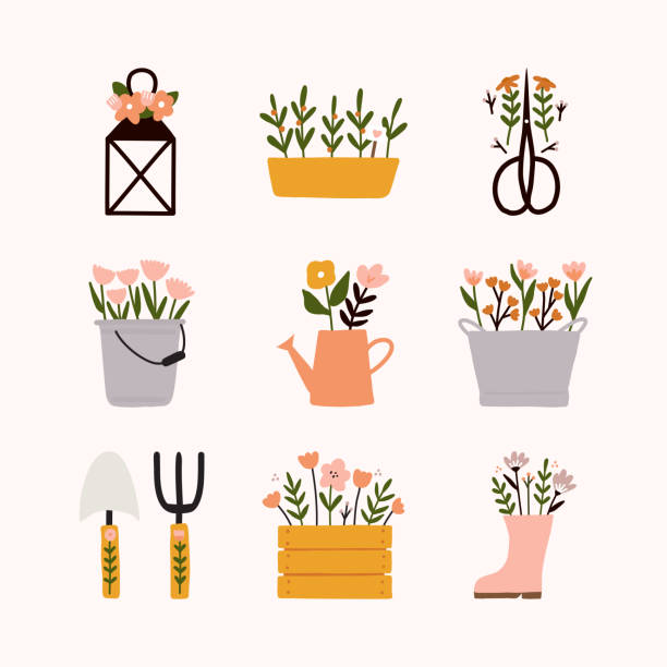 ilustraciones, imágenes clip art, dibujos animados e iconos de stock de colección de primavera con diferentes elementos de jardín linda linterna floral, olla, tijeras, tienda de cubos, lata de riego, cubo vintage, pala, trinchera, caja de madera, bota de lluvia e ilustración de flores. - florist flower gardening store