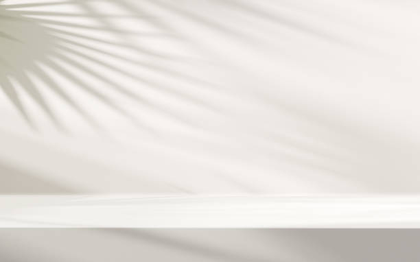 Minimal abstract background for product presentation. Leaf shadow on white plaster wall. Spring and summer.