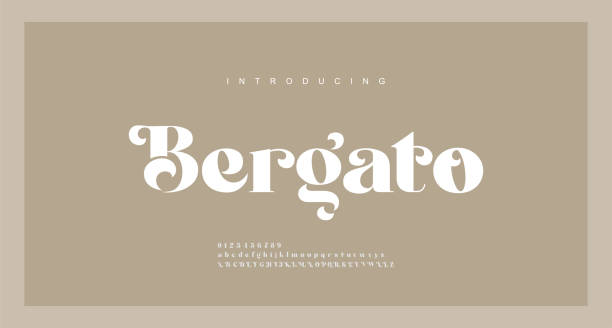 Elegant luxury alphabet letters font. Classic Lettering Minimal Modern Fashion Designs. Typography modern serif fonts regular decorative vintage concept. vector illustration Elegant luxury alphabet letters font. Classic Lettering Minimal Modern Fashion Designs. Typography modern serif fonts regular decorative vintage concept. vector illustration elegance stock illustrations