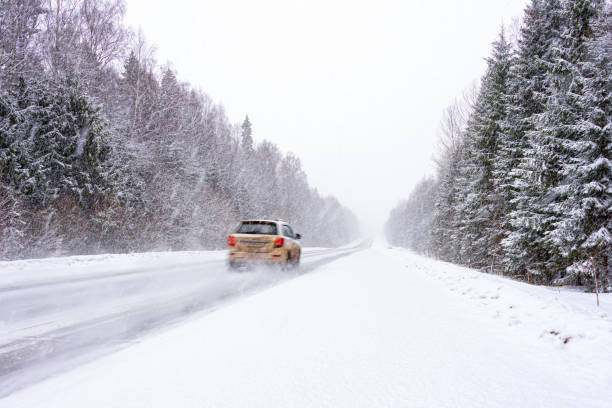 istock The road among the forest during a strong snow storm. Blurred in motion. 1305901043
