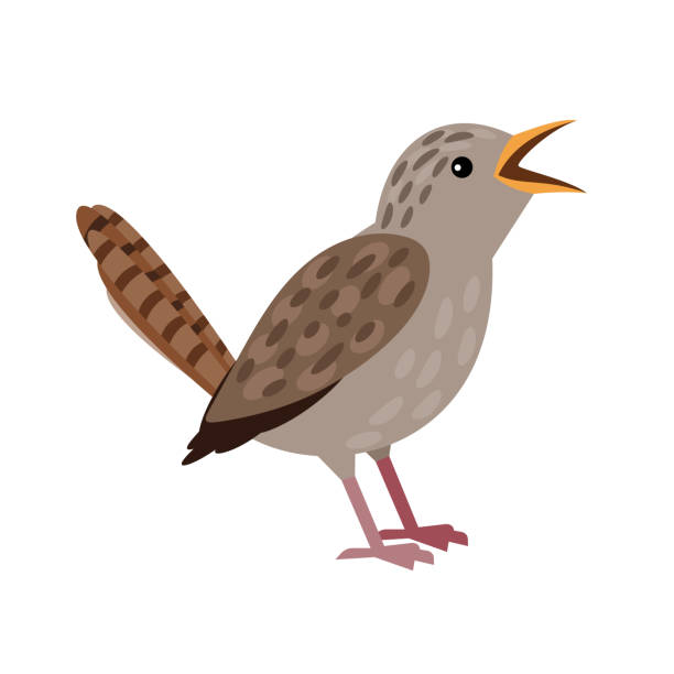 작은 회색 새. 부리와 깃털, 하늘의 날개 달린 노래 동물만화 비행 캐릭터 - birdsong stock illustrations