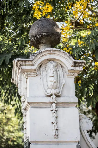 Photo of Grave detail of a cemetery