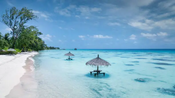 Fakarava Island Lagoon Beach Panorama. Wooden straw parasols and wooden benches at the natural atoll beach inside the beautiful turquoise south pacific ocean lagoon of the Fakarava Atoll Lagoon. Fakarava Island, Havaiki-te-araro - Farea, Tuamotu Archipelago, French Polynesia, Oceania