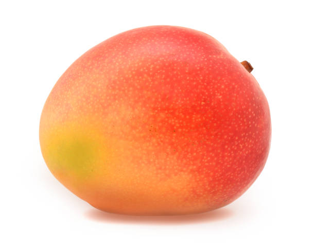istock Mango raw ripe whole exotic fruit closed up isolated on white 1305910741