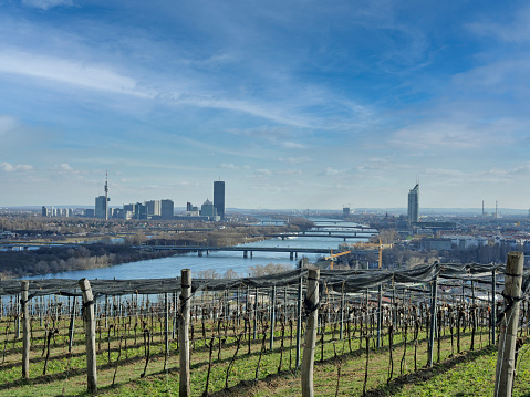 View over Vienna / Austria with danube river in early spring and blue sky