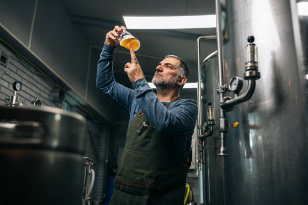 man working in his mini craft brewery brewer examining taste and color of the beer in his craft beer brewery microbrewery stock pictures, royalty-free photos & images