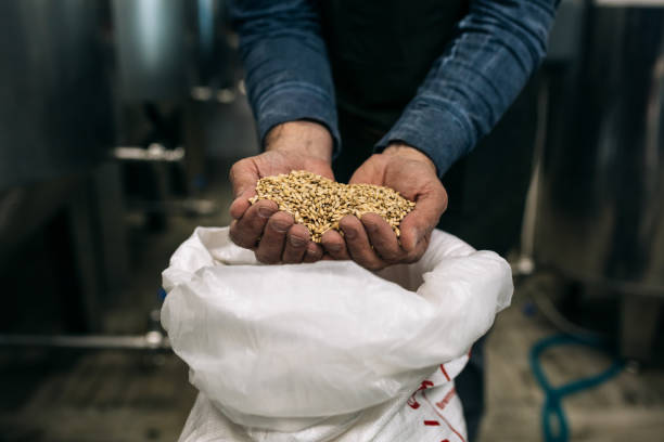 istock man working in his mini craft brewery 1305911791