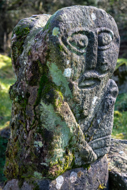 Boa Island Figure This is a bronze age stone carviing of a man on one side and a female on the other. They are located In Caldragh Cemetery on Boa Island, Lower Lough Erne. Northern Ireland lough erne photos stock pictures, royalty-free photos & images