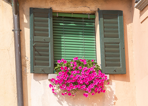 A flower box of petunia outside a private apartment n Menaggio, Italy