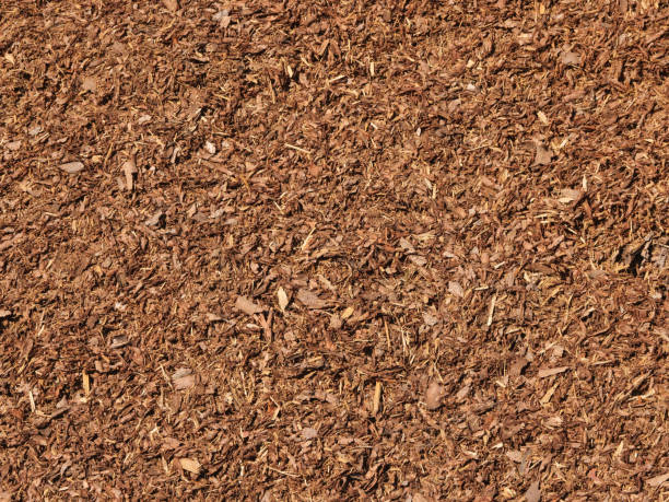 istock Close view of pulverised tree bark mulch used to prevent weed growth. 1305914672