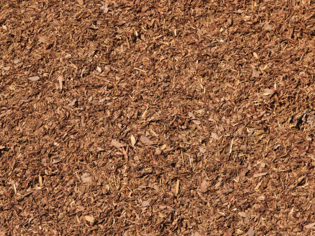 Close view of pulverised tree bark mulch used to prevent weed growth. stock photo