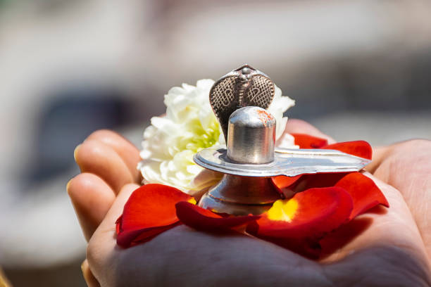 zdjęcie stockowe człowieka gospodarstwa i czczenia srebra shivlinga, który jest ikoną pana shiva z okazji mahashivratri , kwiaty wokół shivlinga w jasnym słońcu w bangalore miasta karnataka indie. - shiv bangalore shiva god zdjęcia i obrazy z banku zdjęć