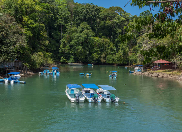 istock small marina at Drake Bay, Costa Rica 1305919167