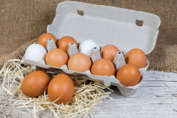istock White and brown eggs in paper pulp carton and beside 1305919655