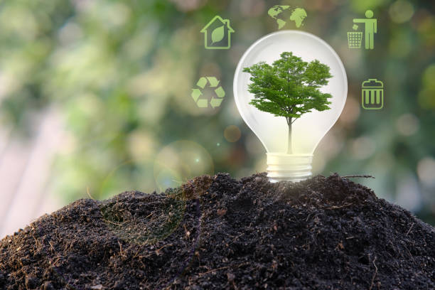istock Small tree growing on green background. tree growing in nature eco earth day concept 1305919668