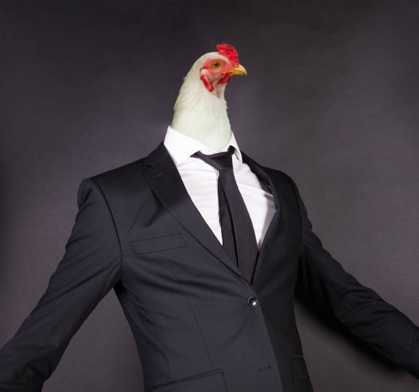 istock Chicken head in a black suit, isolated on black 1305923307