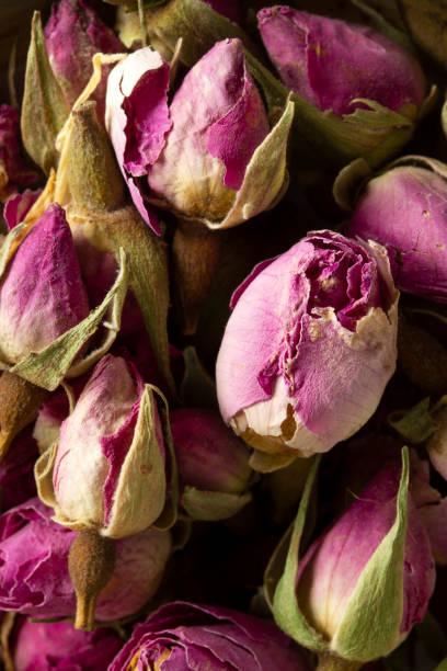 istock Pink rose buds. Herbal tea. Texture, background. 1305925431
