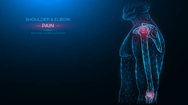 Human anatomical model. Pain, injury and inflammation of the shoulder and elbow joints side view polygonal illustration on a blue background. Joint pain concept Human anatomical model. Pain, injury and inflammation of the shoulder and elbow joints side view polygonal illustration on a blue background. Joint pain concept orthopedics joint stock illustrations